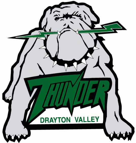 Drayton Valley Thunder 1998-Pres Primary Logo iron on heat transfer